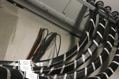 Photo-Aug-21-10-00-34-PM