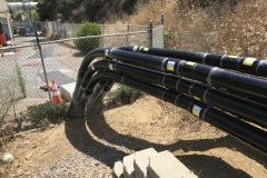 Photo-Jul-24-2-37-07-PM