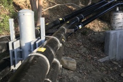 Photo-May-02-7-04-42-AM-1