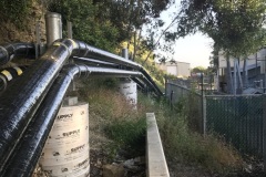 Photo-May-02-7-04-49-AM