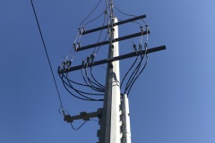 Photo-Oct-28-10-32-37-AM