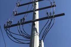 Photo-Oct-28-10-32-40-AM